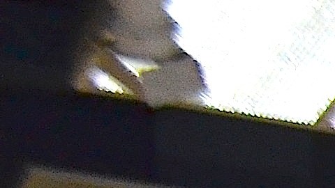 Hispanos acudieron a foro informativo sobre DAPA Y DACA en la biblioteca Rudy Lozano en Pilsen.