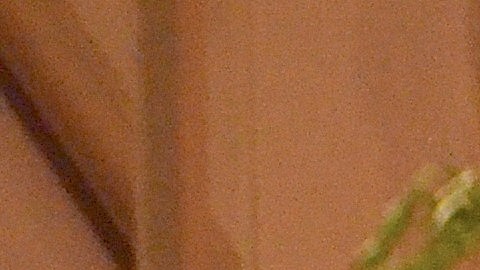 El fallecido cardenal Francis George recibió el cariño y el homenaje de los católicos de Chicago.