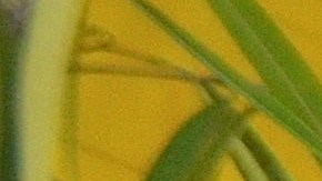 Los esposos Efraín y Eliamar Loza en su tienda Artesanías D’ México en el barrio de Pilsen.