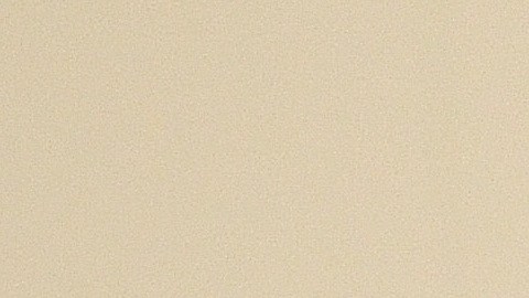 Blase Cupich, cardenal y arzobispo de Chicago.