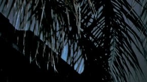 El Gran Silencio regresa a Chicago.