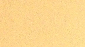 Luis Carlos Medina y su madre Cecilia López sostienen fotografías de Sara Medina sirviendo en el Cuerpo de Marines.