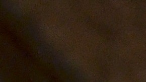 El concejal del Distrito 35, Carlos Ramírez-Rosa es líder de piso y presidente del Comité de Zonificación, Monumentos y Estándares de Construcción del Concilio Municipal de Chicago.