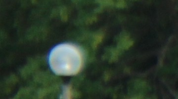 Este fin de semana se celebran las Fiestas Puertorriqueñas en el Parque Humboldt