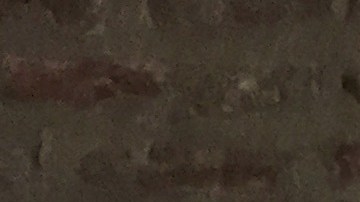 Fotografías de familias latinas de la exposición ‘Retratos' del artista William Estrada.