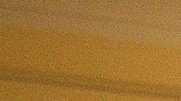 Rosi Carrasco, organizadora de Comunidades Organizadas contra las Deportaciones (OCAD), junto con otros activistas locales rechazan retenes ‘racistas’ en barrios de minorías.