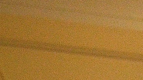 Rosi Carrasco, organizadora de Comunidades Organizadas contra las Deportaciones (OCAD), junto con otros activistas locales rechazan retenes ‘racistas’ en barrios de minorías.