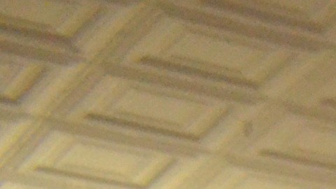 El programa de Acción Diferida para los llegados en la infancia (DACA) los protege de la deportación y les otorga un permiso de trabajo con opción a renovarse.