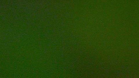 El virus del Nilo Occidental es transmitido a los humanos por un mosquito.