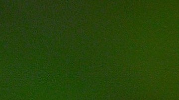 El virus del Nilo Occidental es transmitido a los humanos por un mosquito.