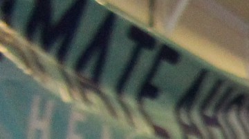 Todo el mundo quiso sacarse fotos con Curiosity, la mascota de Fifth Third Bank, durante el Festival de Verano, un evento que fue realizado por La Raza y Fifth Third Bank.