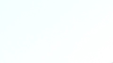 A Juanita Barraza le encanta la idea del Parque 606, donde puede pasar tiempo en familia, pero le preocupa que esta atracción eleve los impuestos a la propiedad de su casa.