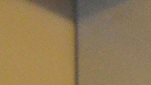 Maryori Urbina Contreras (en el centro) junto a sus hermanas y a la activista Julie Contreras de LULAC del condado Lake, tras finalizar la audiencia ante una corte de inmigración de Chicago.