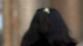 Los niños angelinos regresan a la escuela.