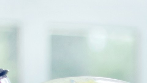 Muchísimas tiendas en Chicago y sus suburbios comenzaron sus ofertas Back to School la segunda semana de julio.