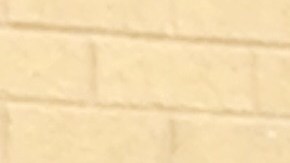 Grisel Rodríguez, de 25 años, hija menor de Nestora  Salgado, durante una manifestación en las afueras del Consulado General de México en Chicago.