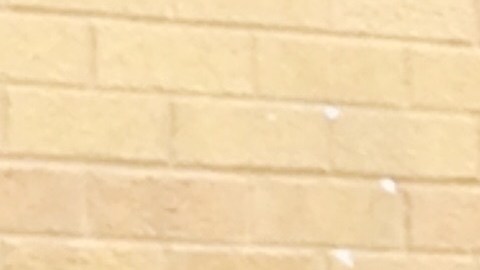 Grisel Rodríguez, de 25 años, hija menor de Nestora  Salgado, durante una manifestación en las afueras del Consulado General de México en Chicago.