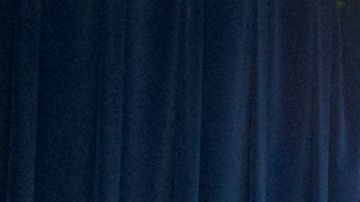 Según las autoridades de ICE, la operación finalizó el domingo pasado y de los 46 hombres y 5 mujeres detenidos, 41 eran ciudadanos mexicanos.