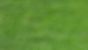 El cuatro veces ganador del Balón de Oro, Lionel Messi, está confirmado para venir a Chicago junto a sus amigos para un juego amistoso.