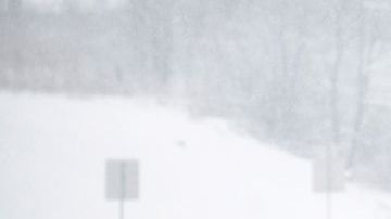 Neblina y nieve acaparaban ayer la carretera 47 en el suburbio Lily Lake, en Chicago, Illinois.