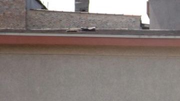 Empresa de lavados de carros "Little Village".