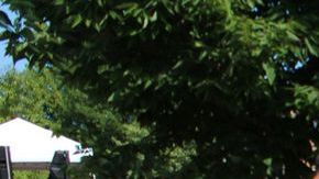 Familias y jóvenes de diferentes descendencias y edades acudieron al octavo año del festival de música hip hop 'We Are Hip Hop'.