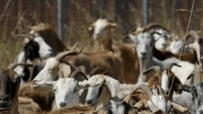 IM_20130814_LOCALES_130819753