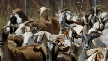 IM_20130814_LOCALES_130819753