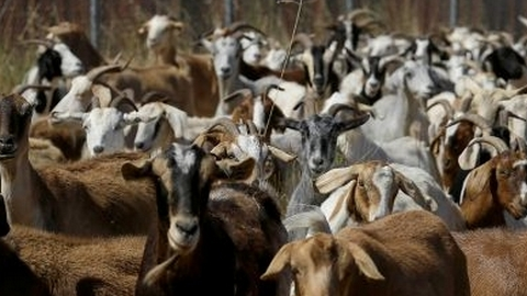 IM_20130814_LOCALES_130819753