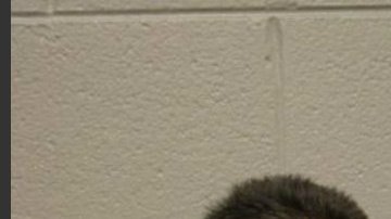 Manuel Mata (izquierda) y Joaquín Muneton deberán comparecer a Central Bond Court del condado de Cook hoy para una vista inicial del caso.