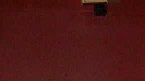 La educadora y activista latina, Carmen Velásquez, muestra el decreto que le dio el gobernador de Illinois Pat Quinn.