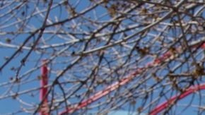 El historiador boricua José López, director ejecutivo del Centro Cultural Puertorriqueño en el Paseo Boricua en el vecindario de Humboldt Park.