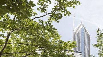 El artista y escultor español Jaume Plensa posa delante de su escultura Awilda, parte de una de las cuatro cabezas gigantes de niñas colocadas en el Parque Millennium.