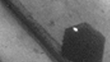 La legionella es una bacteria que se encuentra naturalmente en ambientes de agua dulce y puede causar la enfermedad del legionario. Foto CDC