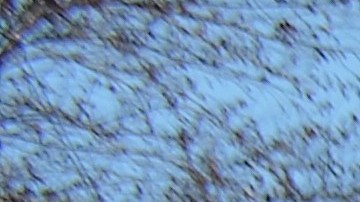 Familiares de estudiantes normalistas desaparecidos de Ayotzinapa, integrantes de la Caravana 43, durante una marcha por el vecindario de Pilsen en Chicago, en abril pasado.