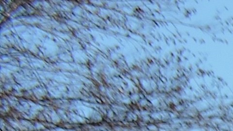 Familiares de estudiantes normalistas desaparecidos de Ayotzinapa, integrantes de la Caravana 43, durante una marcha por el vecindario de Pilsen en Chicago, en abril pasado.