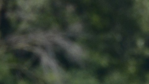 San Marcos capturó el primer lugar al derrotar a Cocula 3-2 en la final de ICS League.