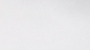 Desde el estacionamiento de las oficinas administrativas del centro de permisos del Maxwell Street Market se ven de lejos imponentes los rascacielos de Loop.