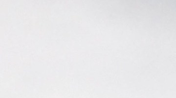 Desde el estacionamiento de las oficinas administrativas del centro de permisos del Maxwell Street Market se ven de lejos imponentes los rascacielos de Loop.