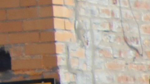 El desfile del Día de la Independencia de México se realizará sobre la calle Commercial en la comunidad de Sur Chicago.