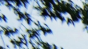 El festival ‘Riot Fest’ se mudó a Douglass Park en 2015 después de la reacción violenta de los residentes enojados en su anterior hogar en Humboldt Park al oeste de Chicago.