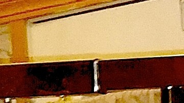 Sonia López y su  piñata del magnate  Donald Trump.