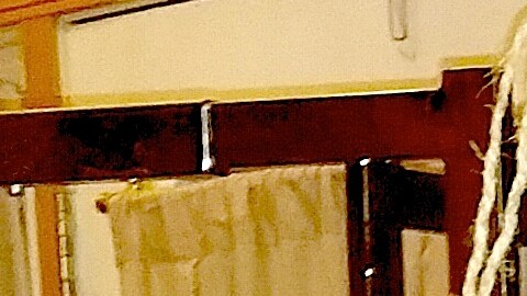 Sonia López y su  piñata del magnate  Donald Trump.