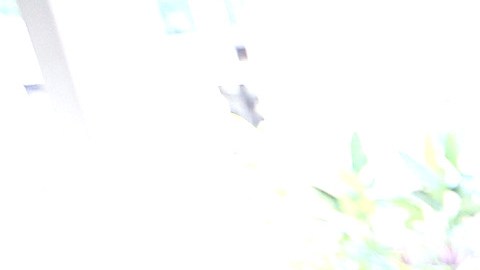 10/08/15 / Retiree Georgina Gonzalez speaks to La Opinion about her new job as an Uber driver. Lured by income and flexibility some retirees are becoming Uber drivers. (Photo by Aurelia Ventura/La Opinion)