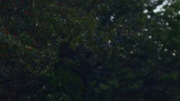 Los cinco atletas junto a sus compañeros de equipos que entrenaron para los maratones de Nueva York y Chicago.