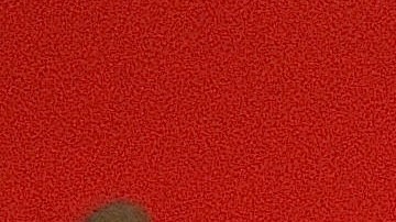 Presidenta del Sindicato de Maestros de Chicago Karen Lewis dirigió la huelga de maestros en esta ciudad en 2012.