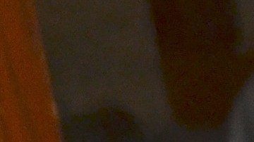 Olivia González lee un cuento a su pequeño William de 4 años, en la Biblioteca Rudy Lozano del vecindario de Pilsen.