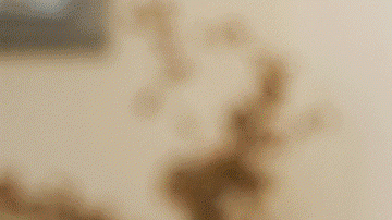 Expertos dicen que alimentarse tal como lo hacían nuestros abuelos y tatarabuelos es la clave para alimentarse sanamente y tener una mejor calidad de vida.