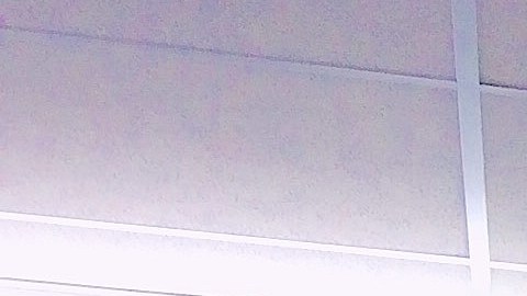 Etiquetas de color blanco, rosa, azul y amarillo con precios escritos a mano indican la rebaja que una determinada prenda tiene en una  tienda de segunda mano en Chicago.