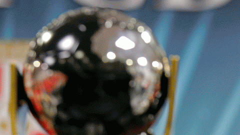 Conocido por un sólido trayecto, Veljko Paunovic ganó con Serbia la copa del mundo U-20 en 2012.